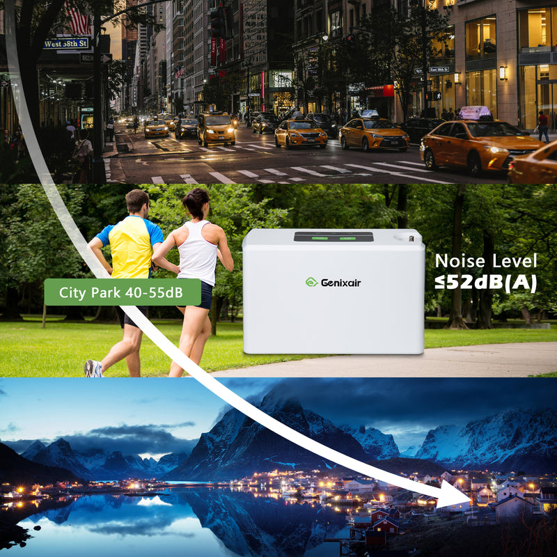 quiet portable oxygen concentrator